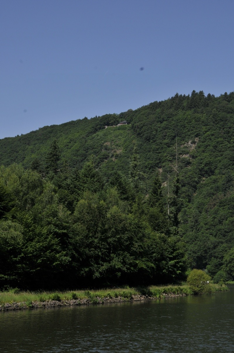 Excursion sur la Sarre _dsc6216