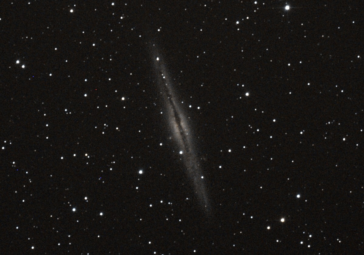 NGC 891 N891vi10