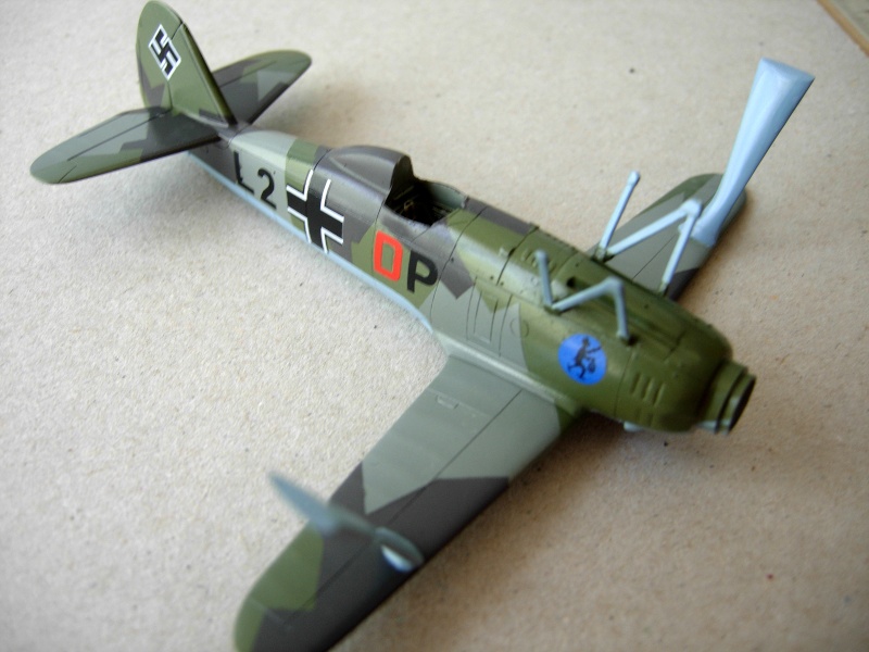 Henschel Hs-123 A (Fly 1/72) - Page 2 Dscn1529