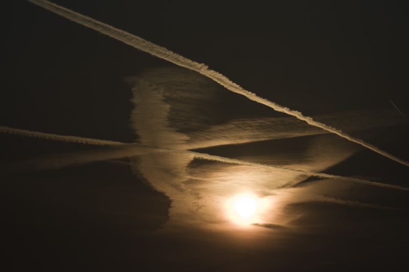 Sous le ciel de Normandie _mg_6610