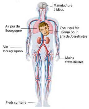 Chez nos voisins bourguignons Coeure11