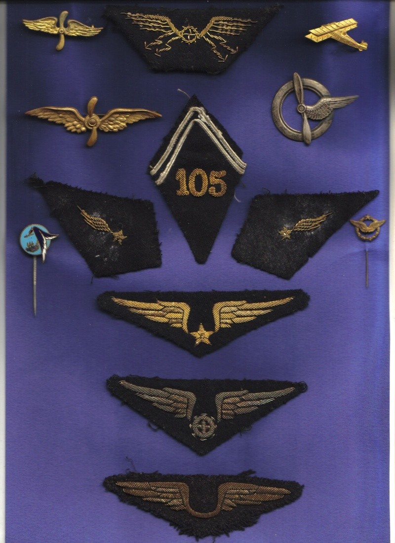 Armée de l'Air 1940 Insign53