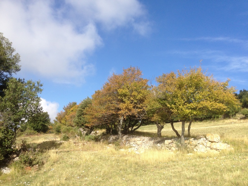 Sortie avec Bernard sous un beau soleil  Img_2013