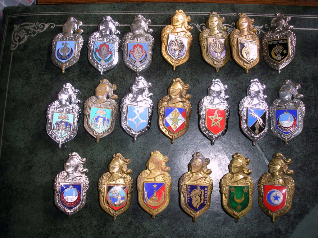 Insignes gendarmerie A.F.N P1010110