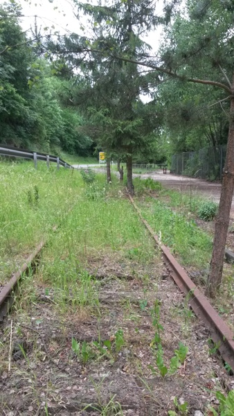 Zone désertée entre la gare de Wiltz et le RAVeL allant à Bastogne 20140618