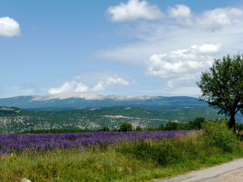 CR De la côte varoise au Mont Ventoux P1020168