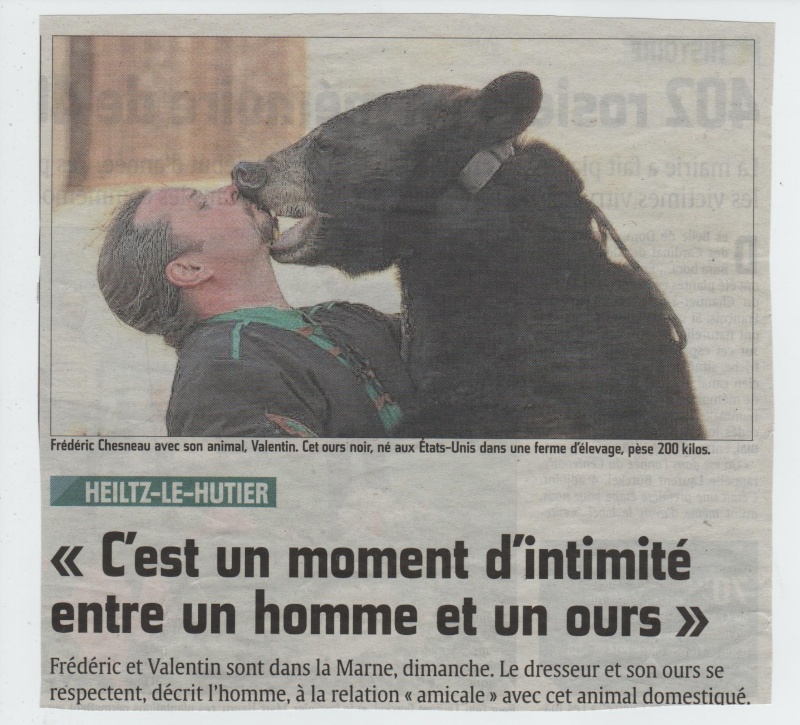 c'est un moment d'intimité entre un ours et un homme (l'union de reims) L_unio10
