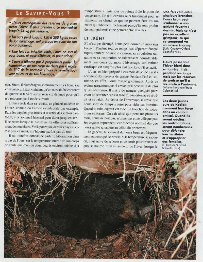 magazine le règne animal Le_ryg11