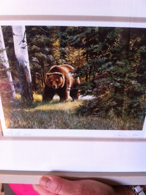·	Ursus arctos arctos : l’ours brun - Page 3 Photo_44