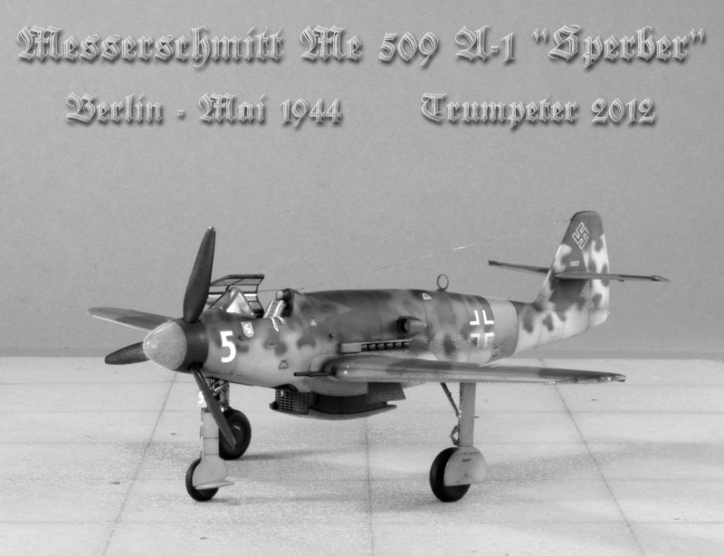 1/48 - MESSERSCHMITT ME509 SPERBER - TRUMPETER - MONTAGE TERMINE Img_6737