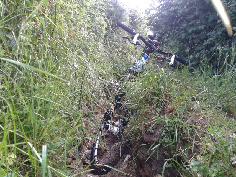 [8 Juin 2014] Les Boucles de la Durdent - Cany Barville Rando_13