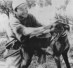 Les auteurs et leurs canins. Bassri10