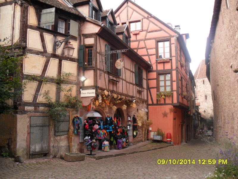 Quelques photos de notre séjour en Alsace Alsace11