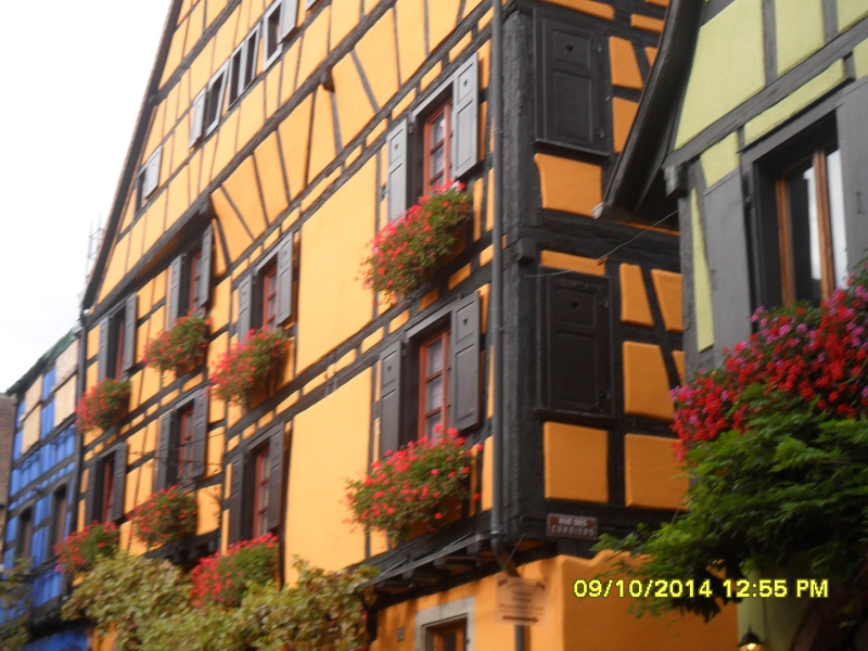 Quelques photos de notre séjour en Alsace Alsace12