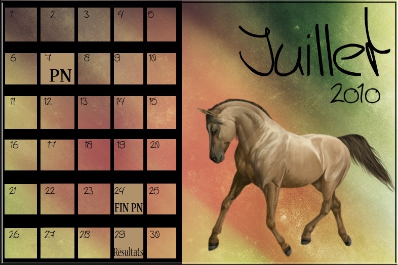 Le Calendrier d'Equid'Design - Page 11 Aaaa10