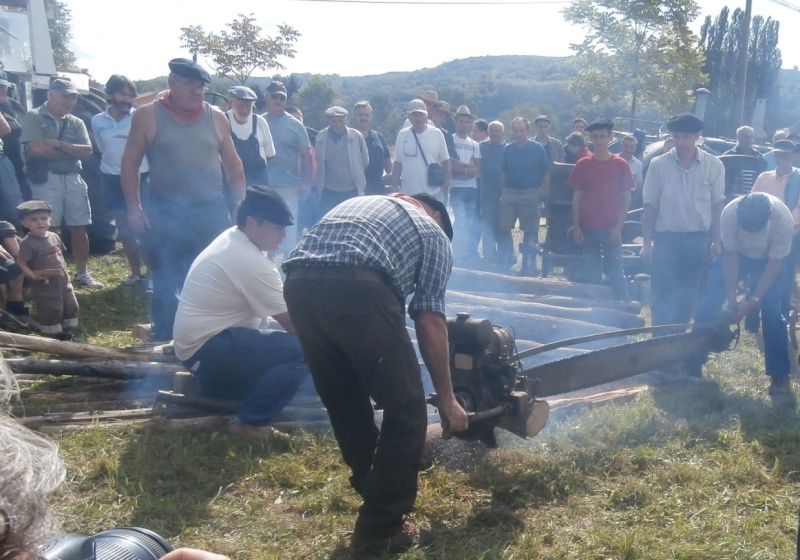 38  VERNIOZ grande Fête des Battages et vieux métiers 31 Août 2014 396