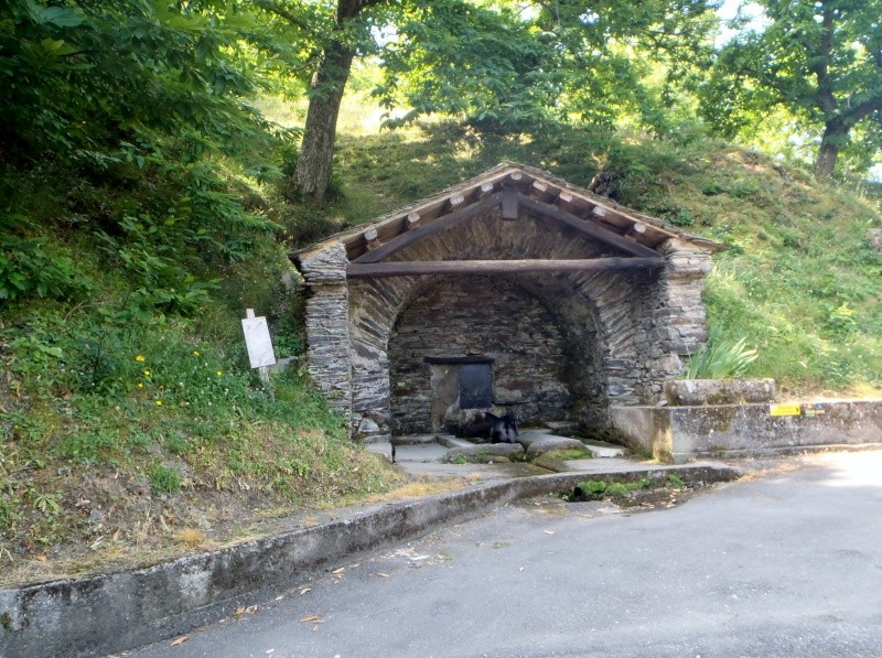 Tour du Pays de la Montagne Noire (Aude et Tarn) P6130215