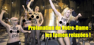 FEMEN N-d-fe10