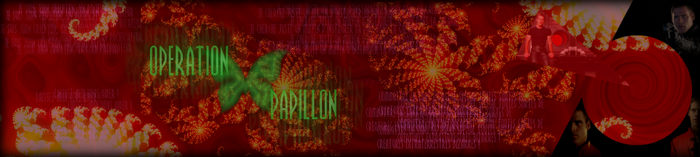 Fan-fiction : Opération Papillon Fan_fi14