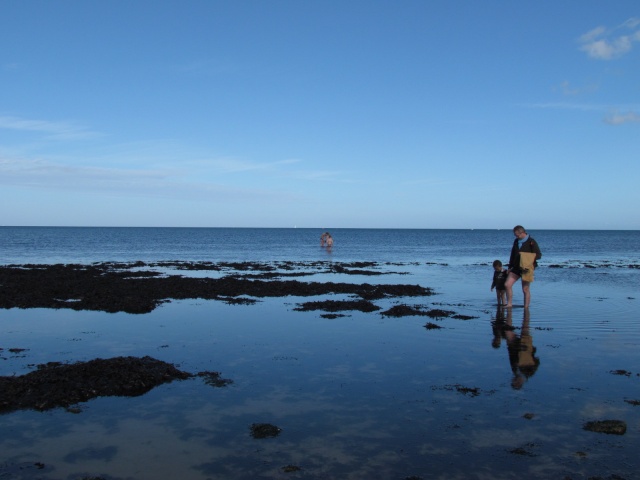 LA MER ses joies, ses caprices...ses humeurs... - Page 5 Img_0014