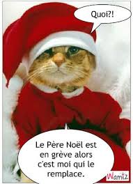 Père Noël. Chat_n10