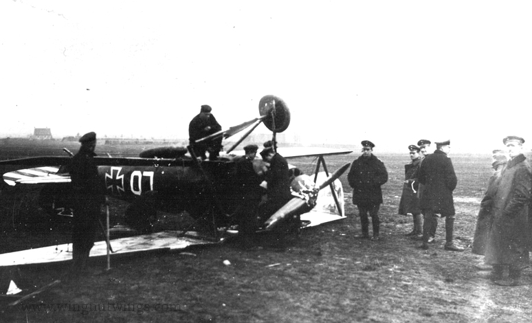 Deux Pfalz D-III / D-IIIa et demi, 1/72 - Page 4 Albatr30