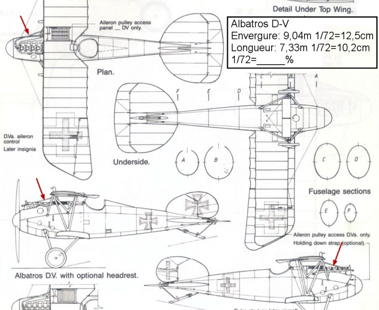 Albatros D.V 1917 - Revell 1/48 > Terminé !! - Page 13 D-v_du10