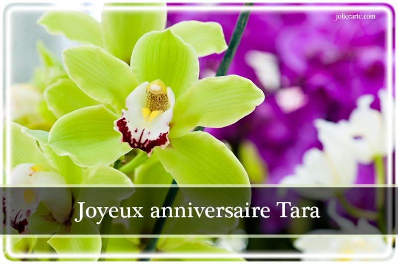 Bon anniversaire TARA Tara10