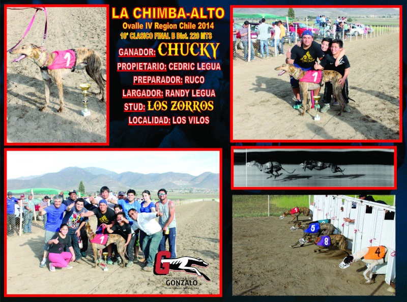 Gran Campeonato La Chimba 220 metros, 24 de agosto clasificacion y final 07 de Septiembre. - Página 2 12-cla17