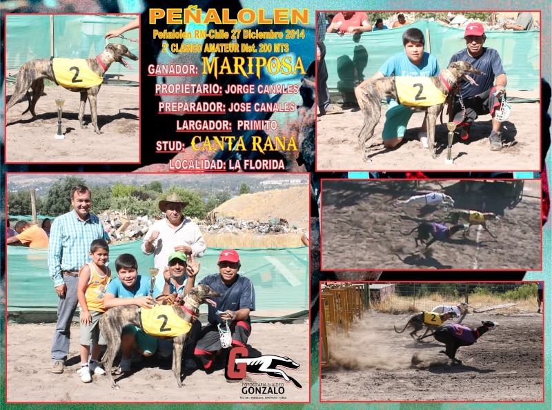 GRANDES CLASICOS CANODROMO PEÑALOLEN SABADO 27 DE DICIEMBRE 2-clas29