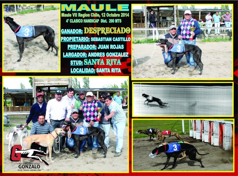 "MAULE 12 OCTUBRE", CLASICOS Y DESAFIOS EN TODAS LAS CATEGORIAS 4-clas24