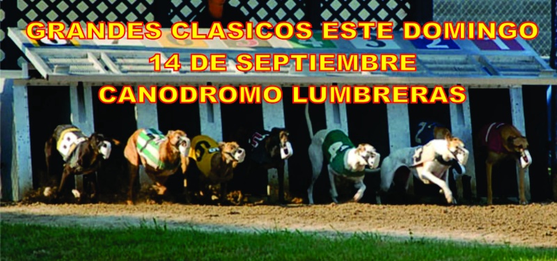 Gran jornada de clásicos y desafíos Domingo 14-09-2014 en la cancha de Lumbreras Melipilla. Lumb10