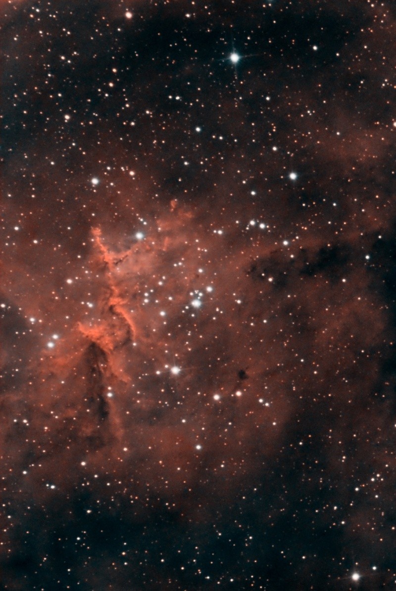 Melotte 15 - Le coeur du Coeur en L-HOO Mel15_11