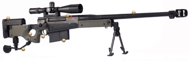 Rifles de Precisión Aw5010