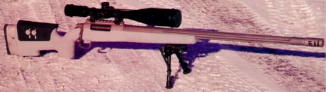 Rifles de Precisión Cheyta14