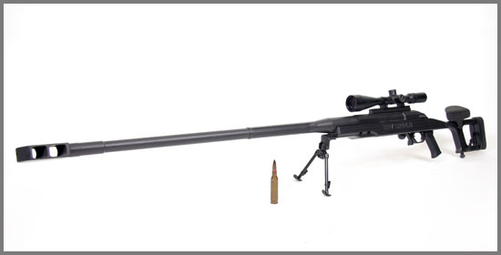Rifles de Precisión Sr_14510