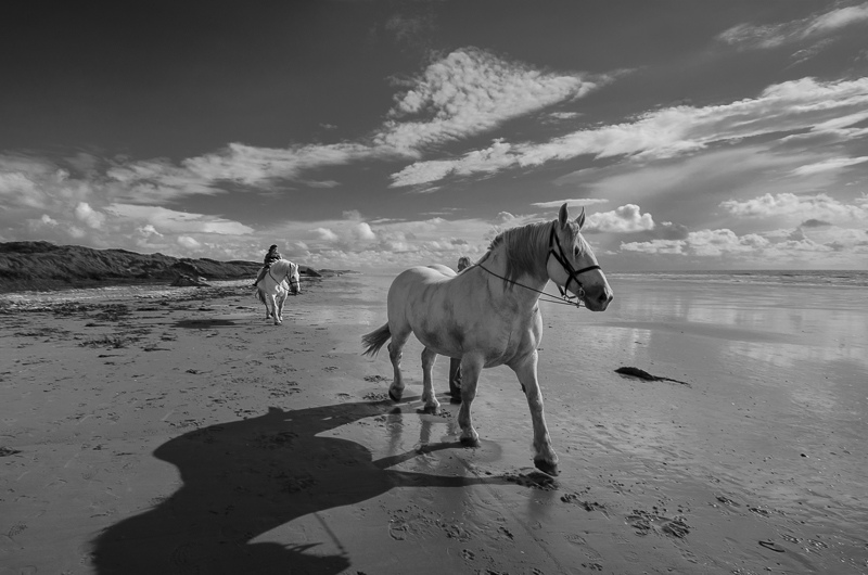 Portaits (Pierrebois 2014 et avant) Boulon10