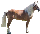 Halfinger Halfinger