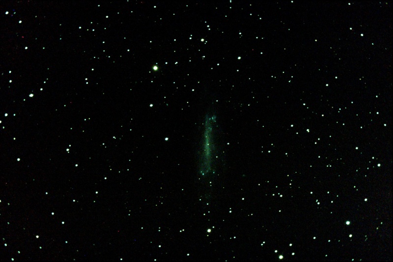 NGC 4236 Ngc42310