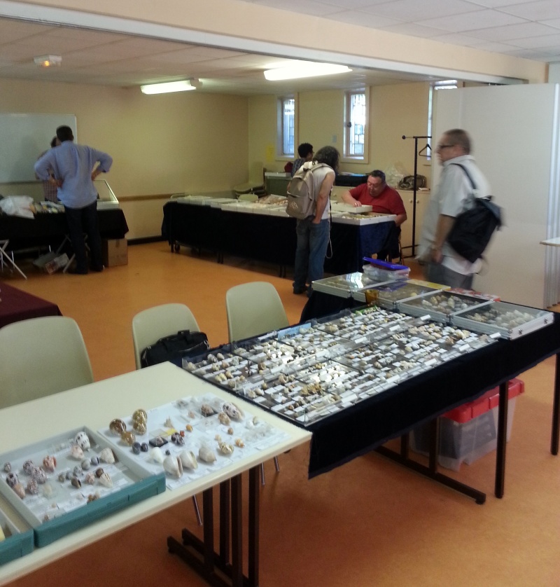2013 Mini Bourse de Paris - 7 Juillet 20130713