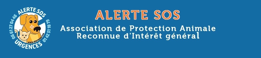 Alerte Sos Alerte Sos
