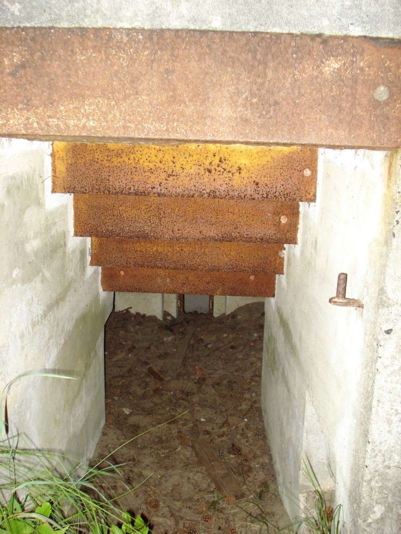 bunker dans la somme Dsc01818