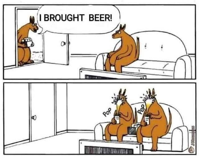 Humour - Page 34 Beer10