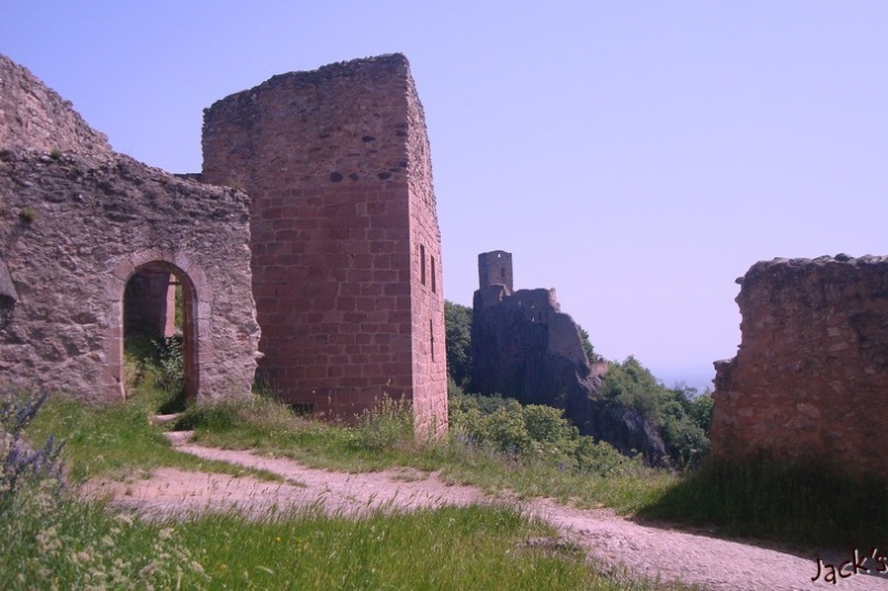 Les trois châteaux de Ribeauvillé Dsc05715