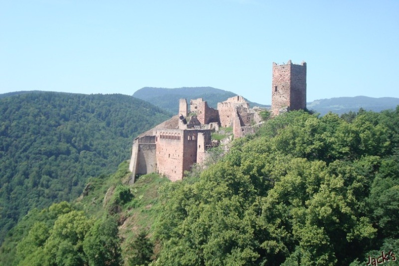 Les trois châteaux de Ribeauvillé  Dsc05717