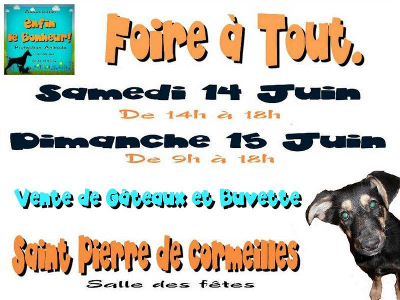 foire a tout 14/15 juin a St Pierre de Cormeilles 27 Ass.ELB 15437510