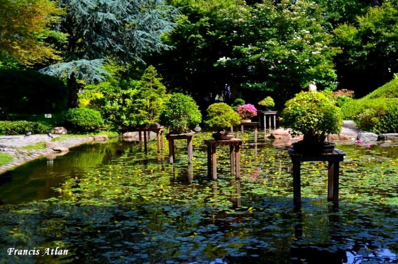 Jardin Japonnais A_kahn10
