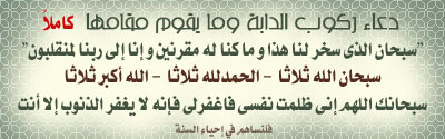 سنن مهجورة 28923510