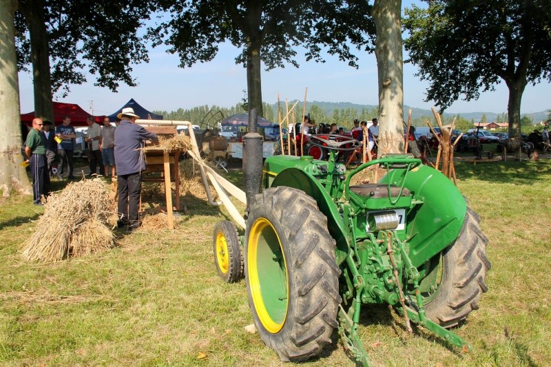 TRACTEUR - La fete du blé a Aiguillon ,expo tracteur ( lot et garonne)  Img_0312