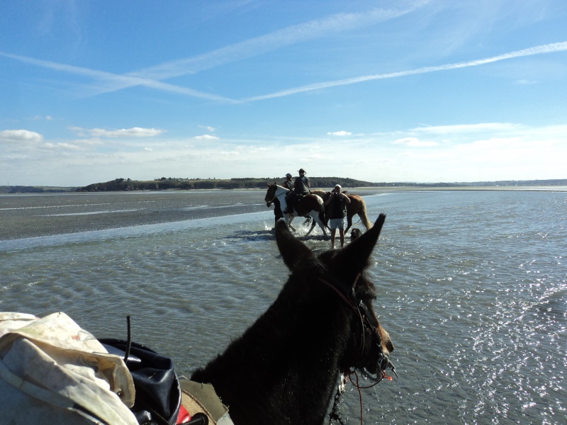 Looping et les copains dans les chemins. Car_de11